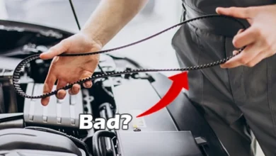 Serpentine-Belt-Cracked