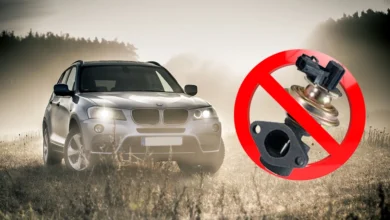 EGR delete legality explained in US, Canada, UK, and Australia